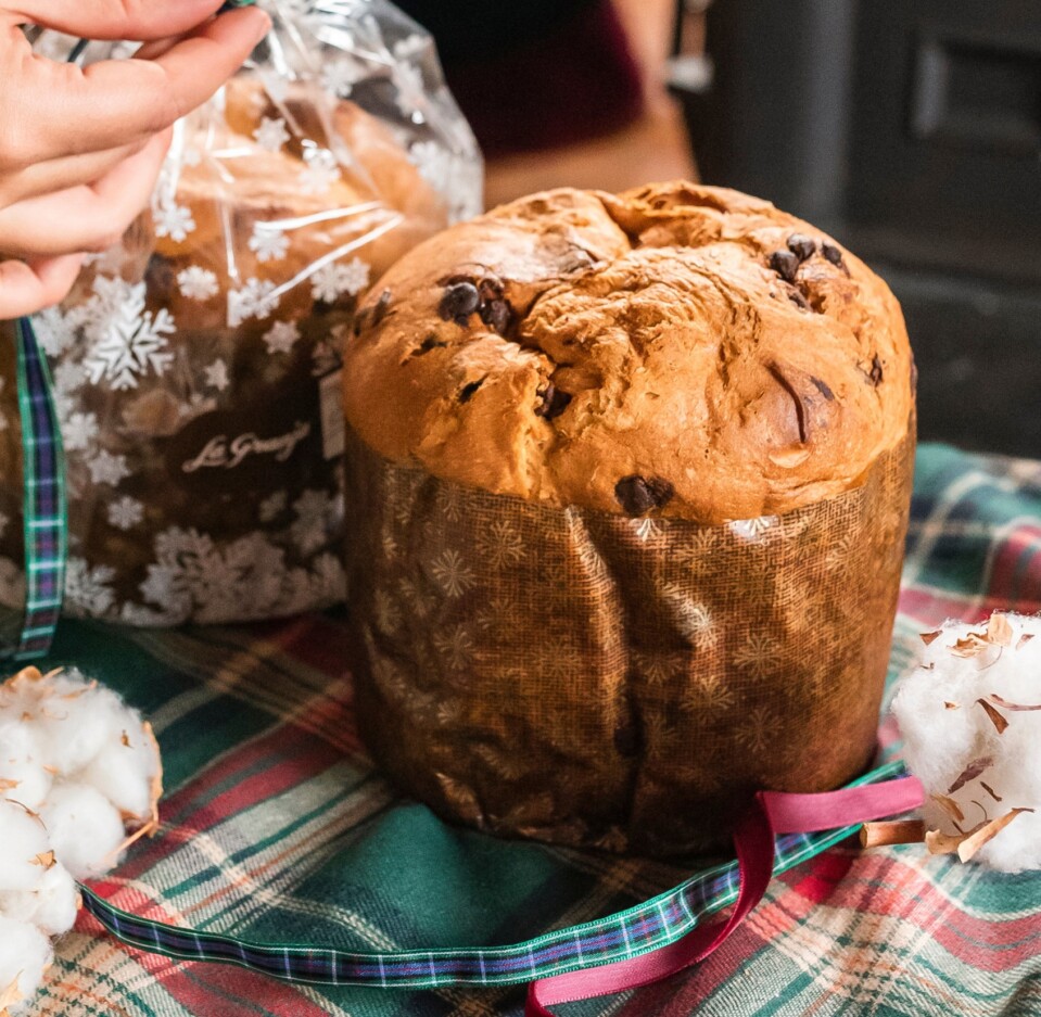 Panettone de Chocolate Panettone de Chocolate