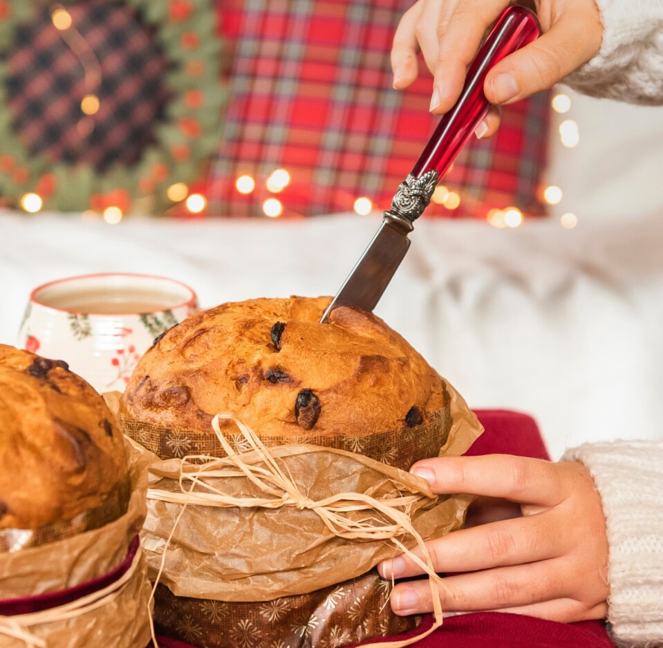 Panettone de Naranja y Pasas Panettone de Naranja y Pasas