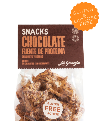 Snacks vegan au chocolat