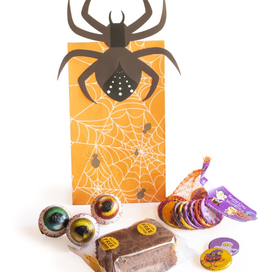 Lote de Halloween Araña Lote de Halloween Araña