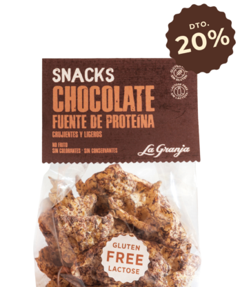 Vegan snacks chocolate