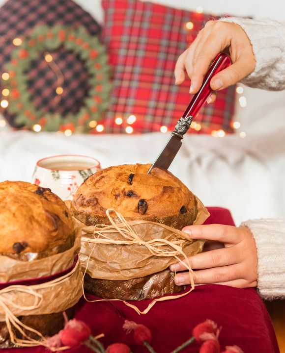 Chocolate Panettone