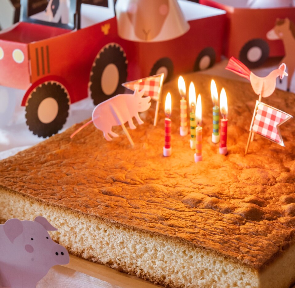 Planxa 1,8 Kg de pa de pessic original sense gluten i sense lactosa
