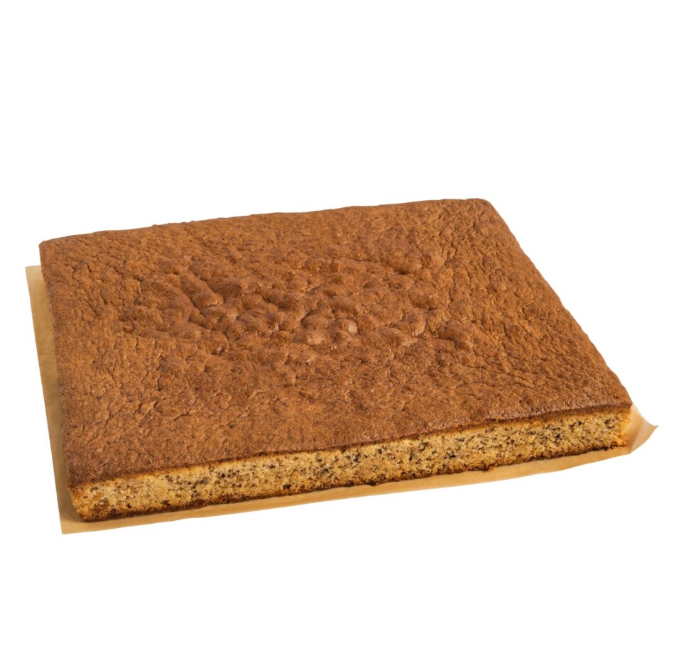 Planxa 1,8 Kg de pa de pessic tradicional carrot cake sense gluten i sense lactosa Planxa 1,8 Kg de pa de pessic tradicional carrot cake sense gluten i sense lactosa